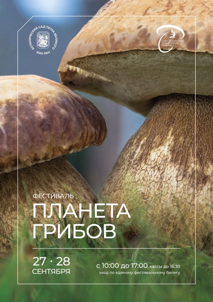Афиша фестиваля.