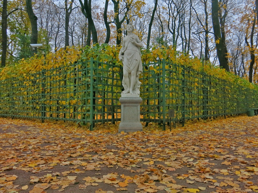 Зеленые насаждения спб. Зеленый Санкт-Петербург.