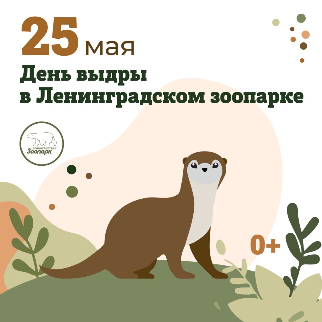 День выдры 2025. 