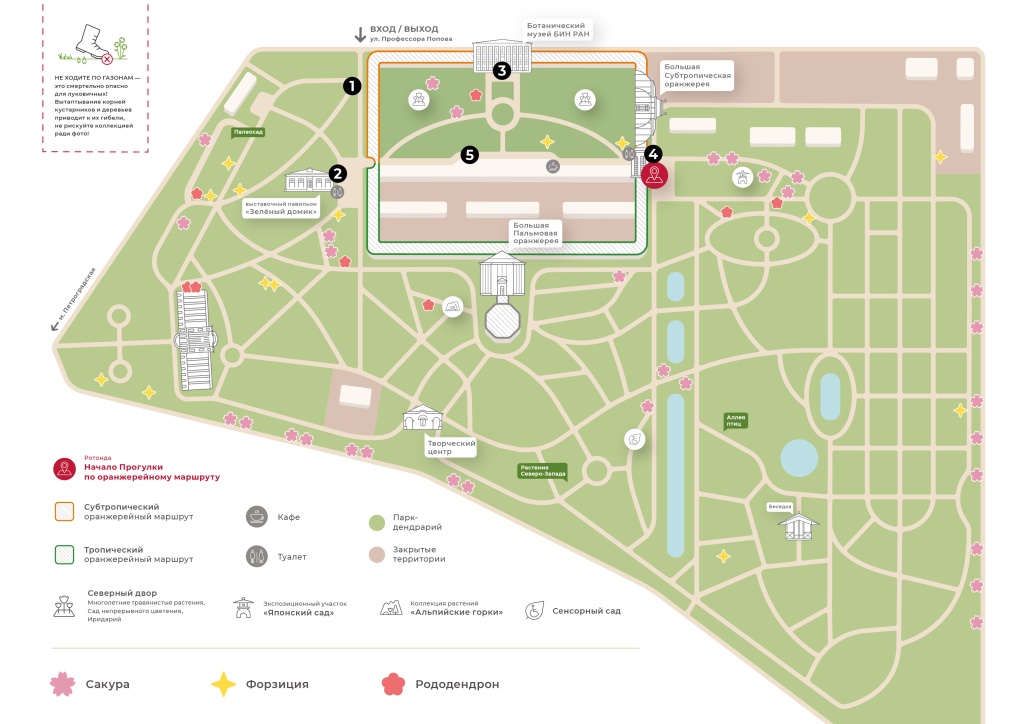 План фестиваля. 