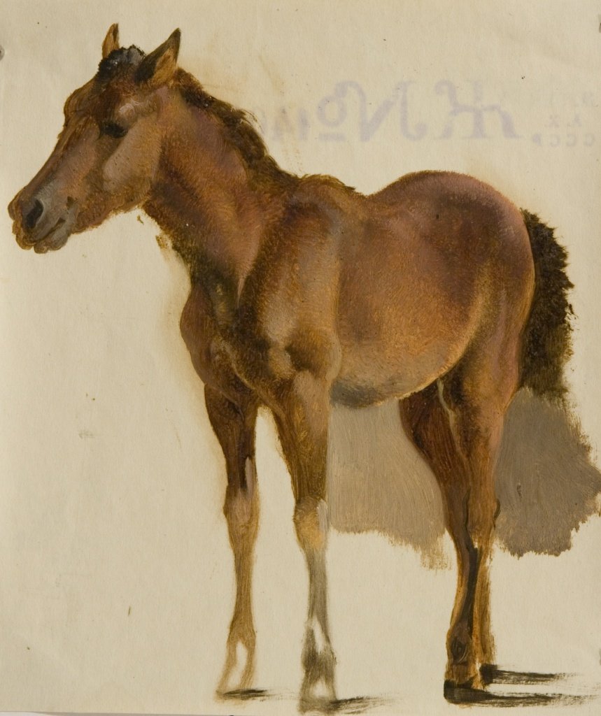 Изображение животных в искусстве это