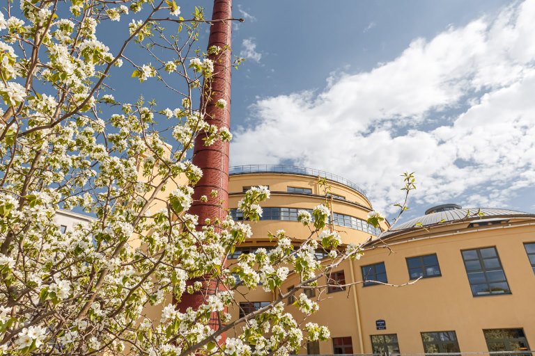 Здание бывшего Левашовского хлебозавода (ныне Культурно-деловой центр). Фото предоставлено организаторами фестиваля «Танцплощадка Победы». Правообладатель: Оргкомитет фестиваля. 