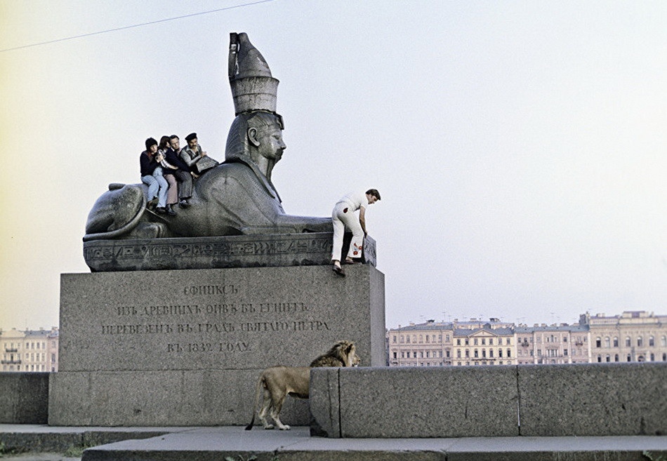 Миронов слезает ко льву. Фото: кадр из фильма.