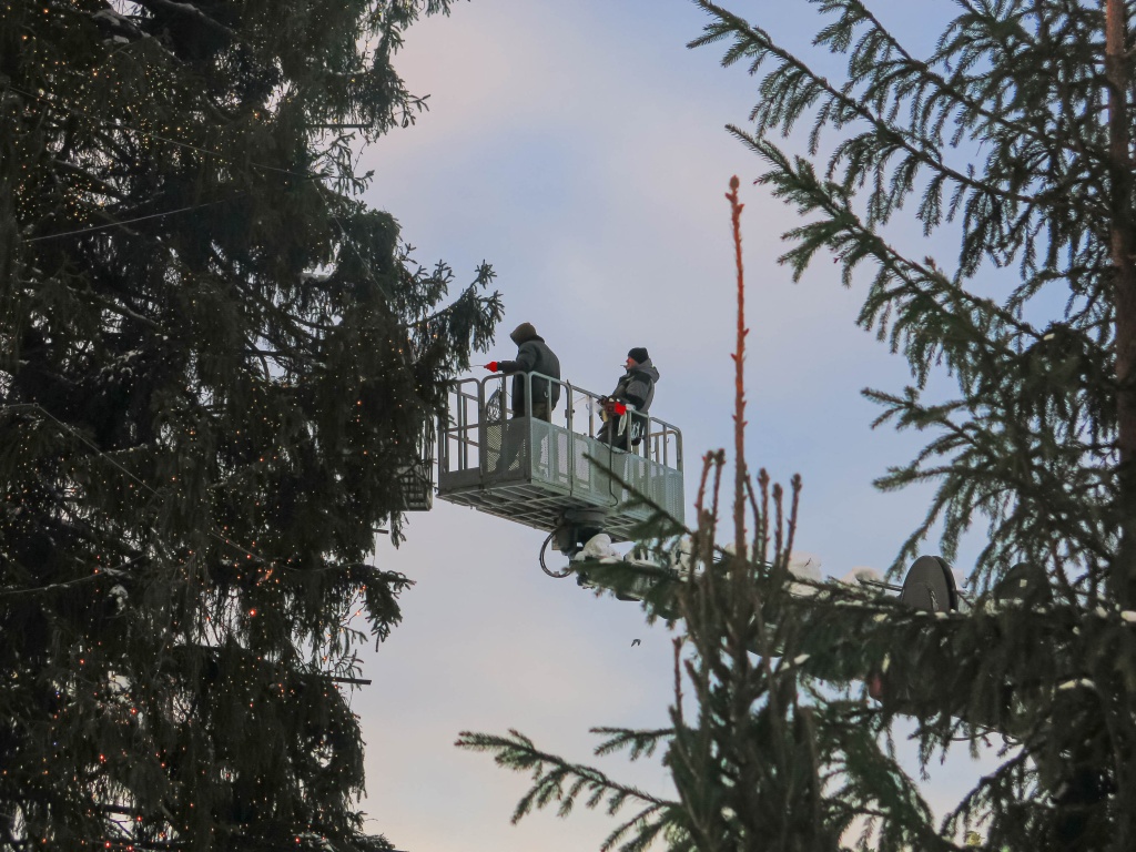 На Дворцовой площади украшают главную елку Петербурга