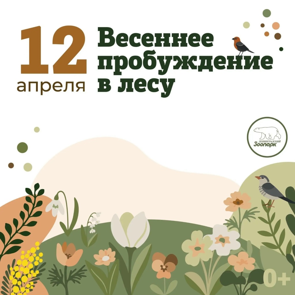 «Весеннее пробуждение в лесу». «Весеннее пробуждение в лесу».
