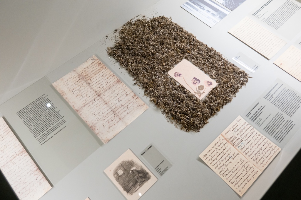 Музей археологии Ярослава Ирина Иванова-1144.jpg