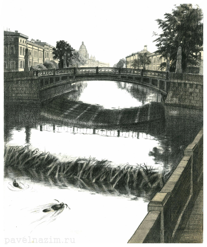 Павел Назим. Бобры.