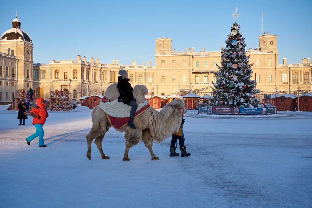 Правообладатель: Сергей Рятте / пресс-служба ГМЗ «Гатчина». Правообладатель: Сергей Рятте / пресс-служба ГМЗ «Гатчина».