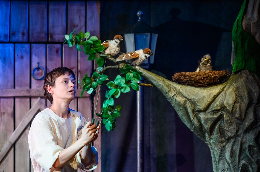 Фото: demmeni.ru. Правообладатель: Театр марионеток им. Е.С. Деммени. Screenshot 2026-04-06 at 14-32-45 vv1_9753_n.jpg (изображение «JPEG» 900 × 598 пикселей).png