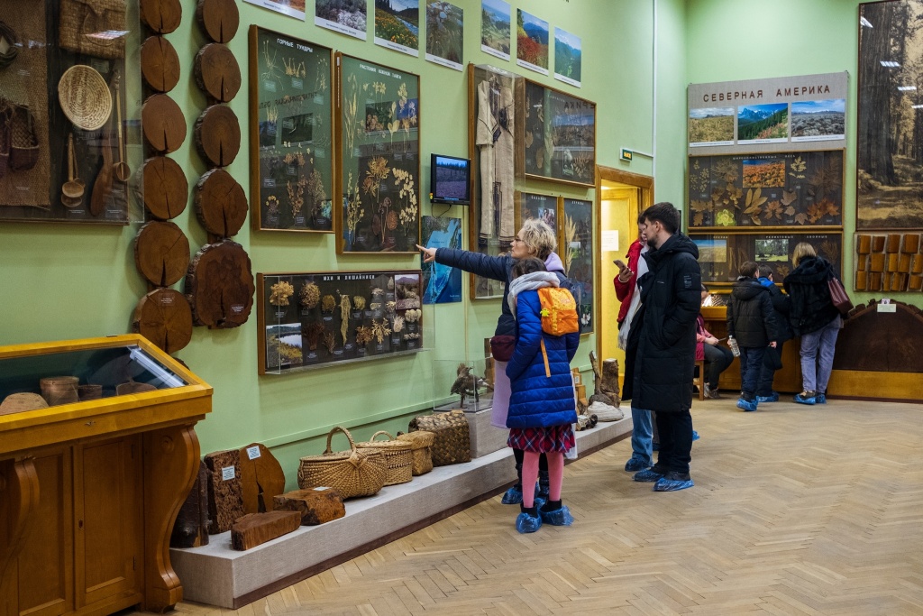 Правообладатель: Кира Чернова / пресс-служба Ботанического сада Петра Великого. Правообладатель: Кира Чернова / пресс-служба Ботанического сада Петра Великого.