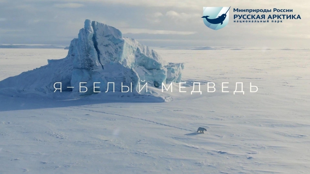 22.01 показ фильма «Я — белый медведь».jpg