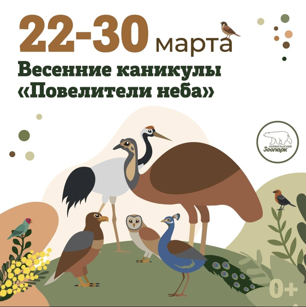 Афиша программы. Афиша программы.