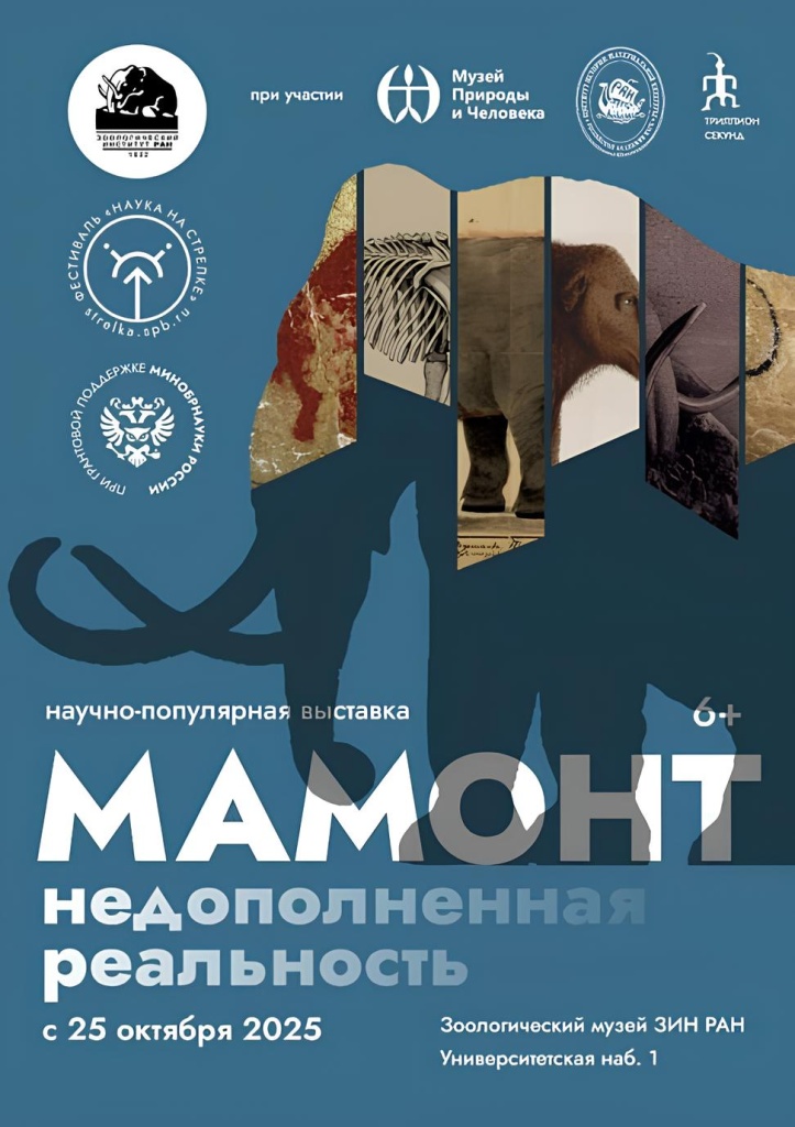 Фото: zin.ru/museum. Правообладатель: Музей при Зоологическом институте Российской академии наук. у.jpg