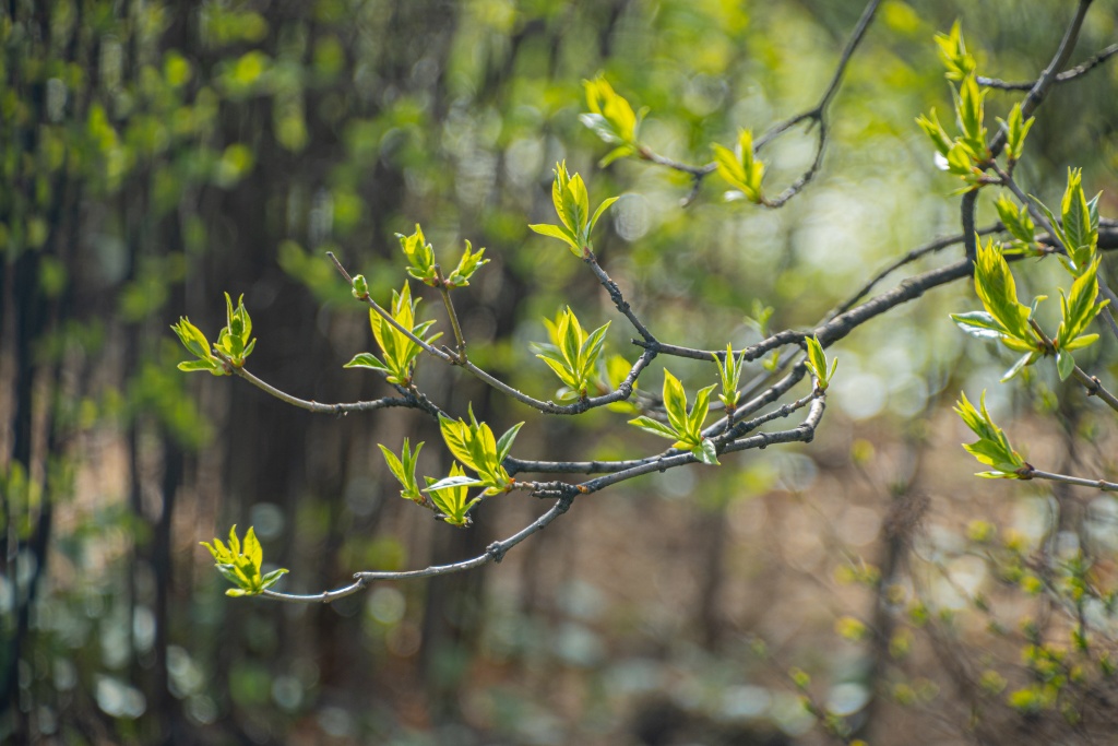 Фото: Ирина Иванова. Правообладатель: Институт культурных программ. Весна 2025 Ирина Иванова-3199-6336.jpg