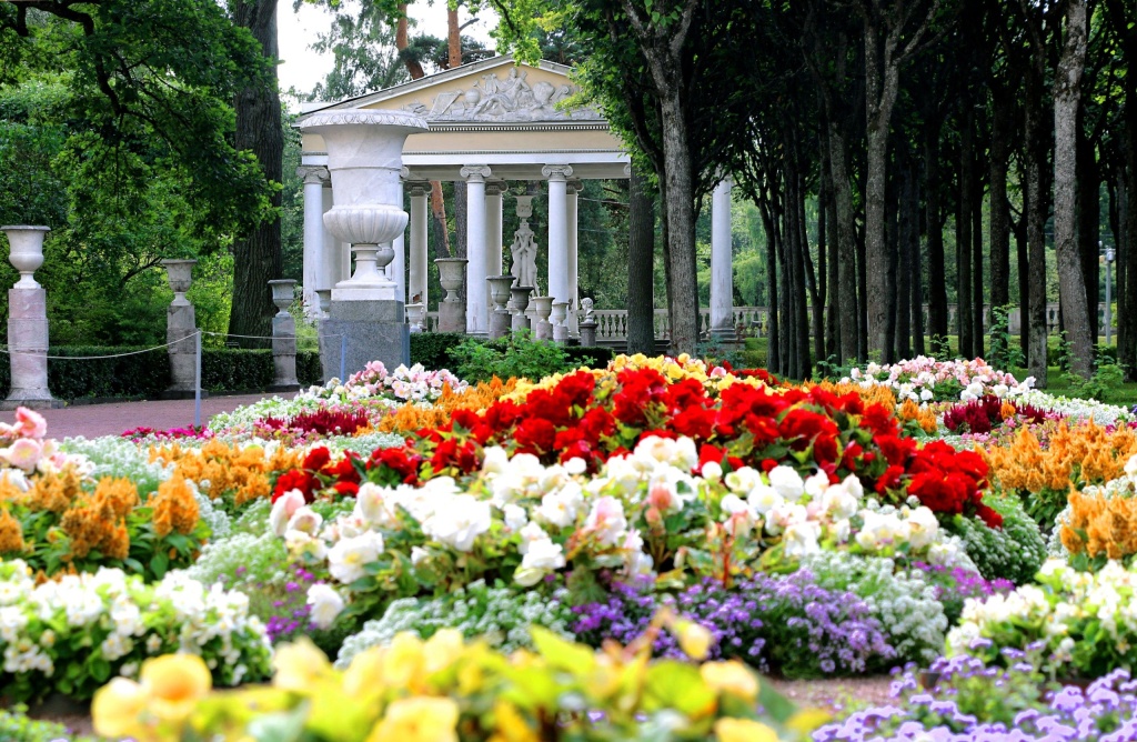 В Павловском парке.